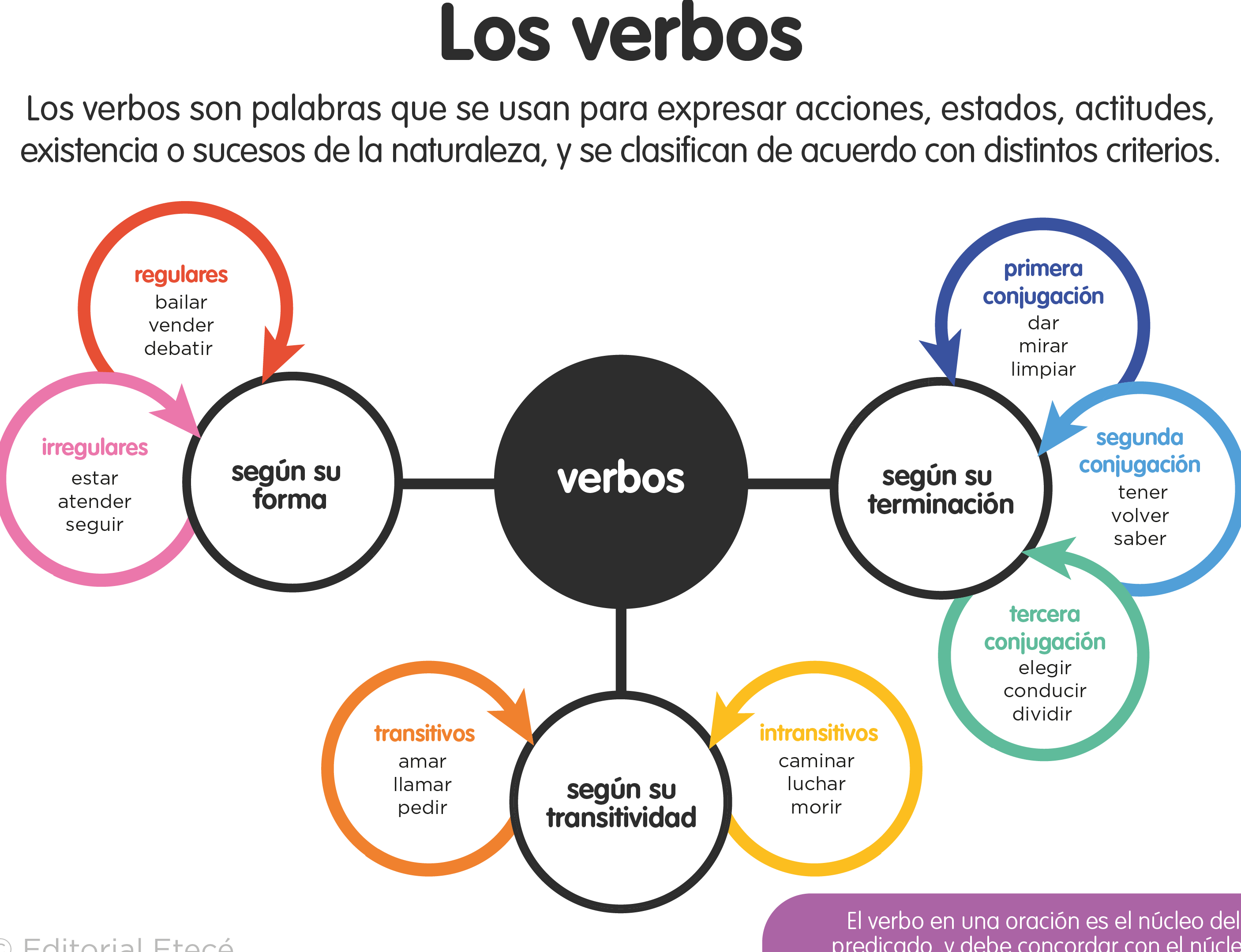 10 ejemplos de oraciones atributivas en espanol