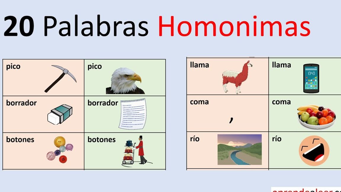 10 ejemplos de palabras homonimas en espanol