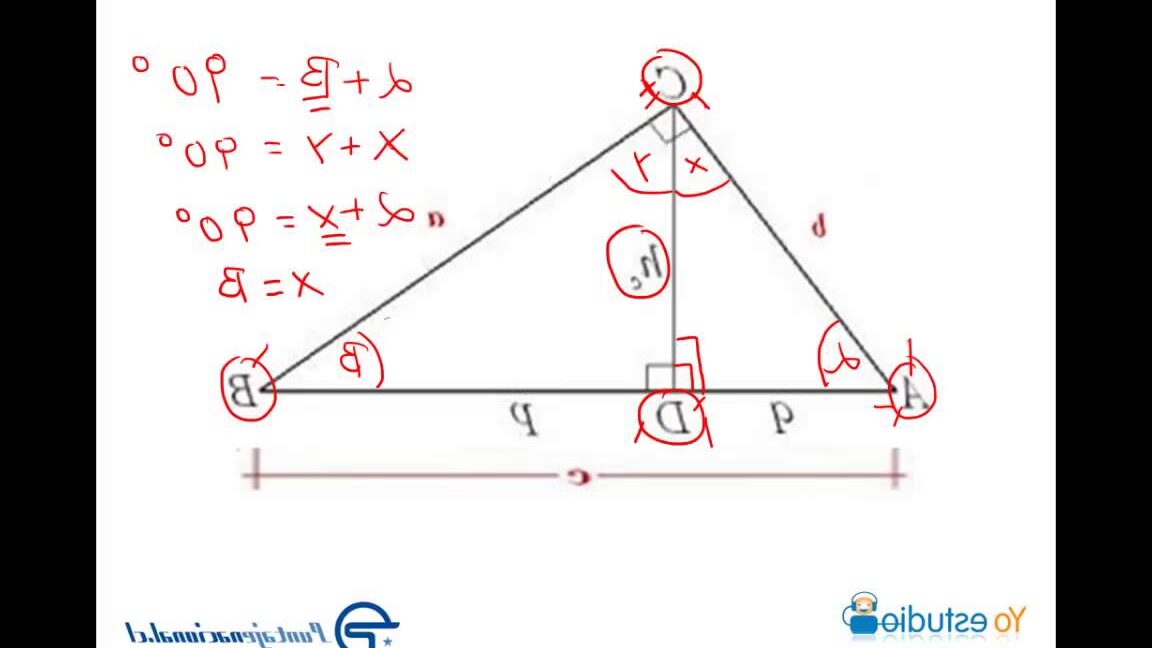 10 ejemplos de teoremas de euclides