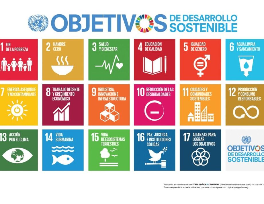 15 ejemplos de como las empresas estan implementando la sostenibilidad