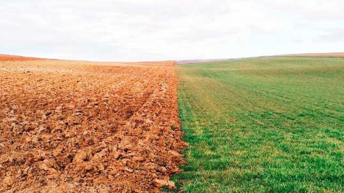 20 ejemplos de tipos de suelo y su uso en agricultura