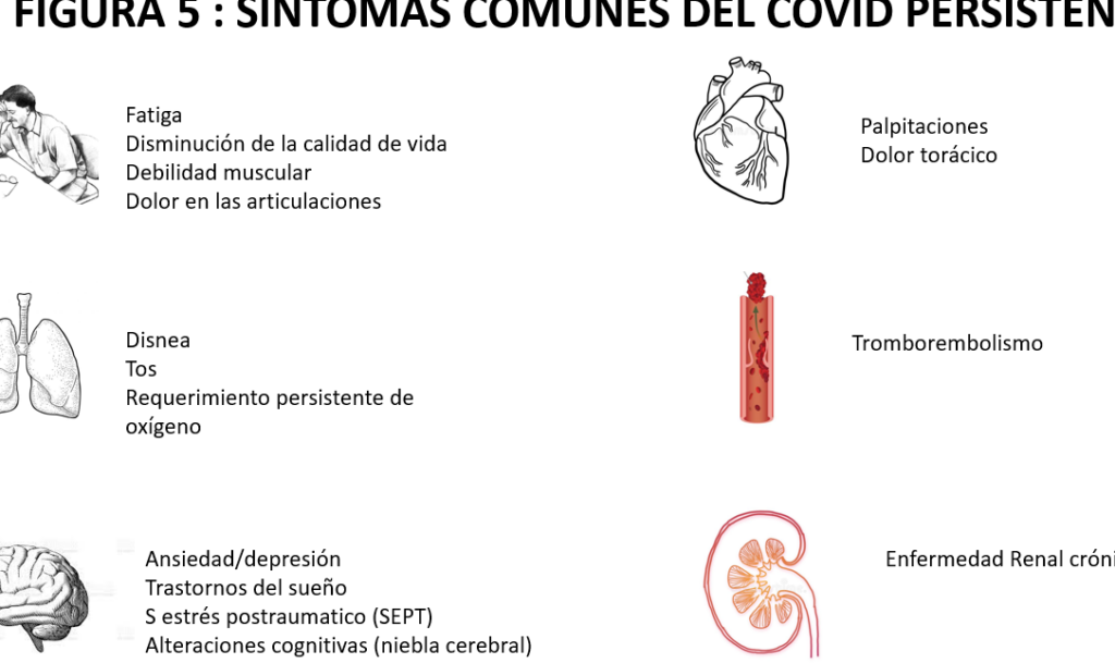 10 ejemplos de alimentos para personas con enfermedad de kawasaki