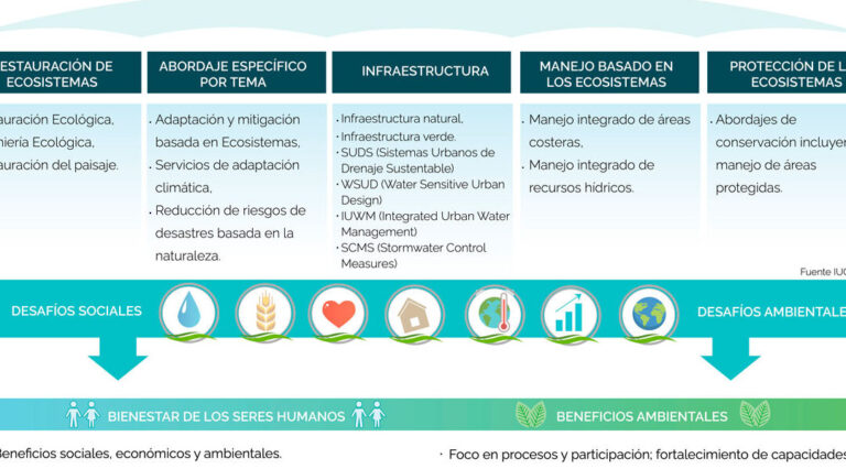 10 ejemplos de usos de la tecnologia de sistemas de gestion de la biodiversidad en la conservacion de la naturaleza