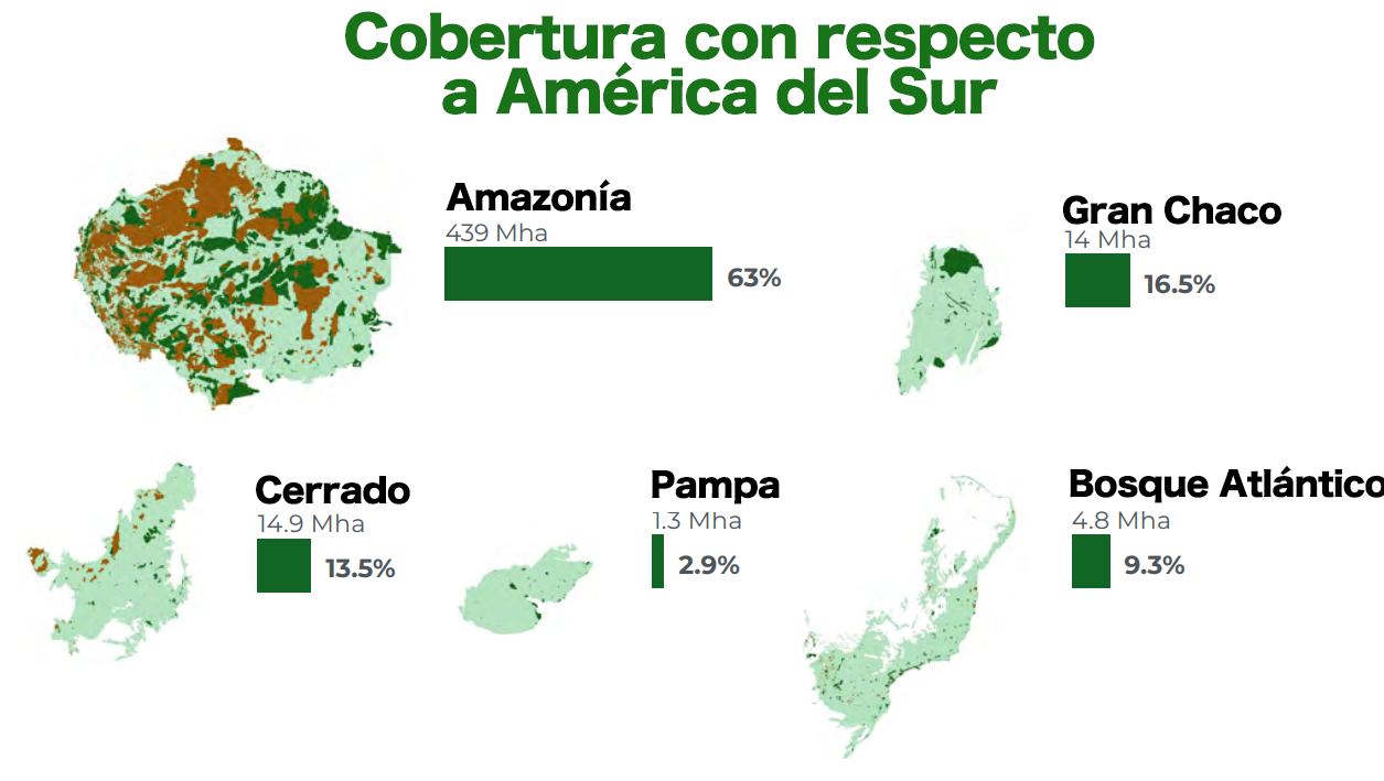 20 ejemplos de areas geograficas afectadas por la deforestacion