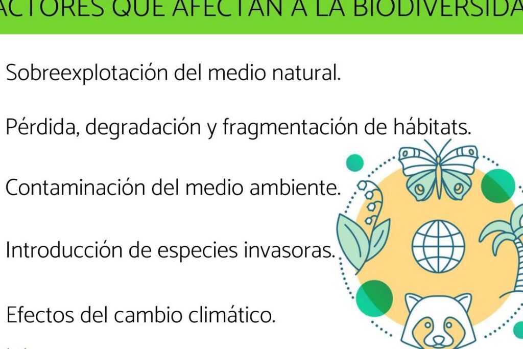 20 ejemplos de caracteristicas geograficas importantes para la biodiversidad