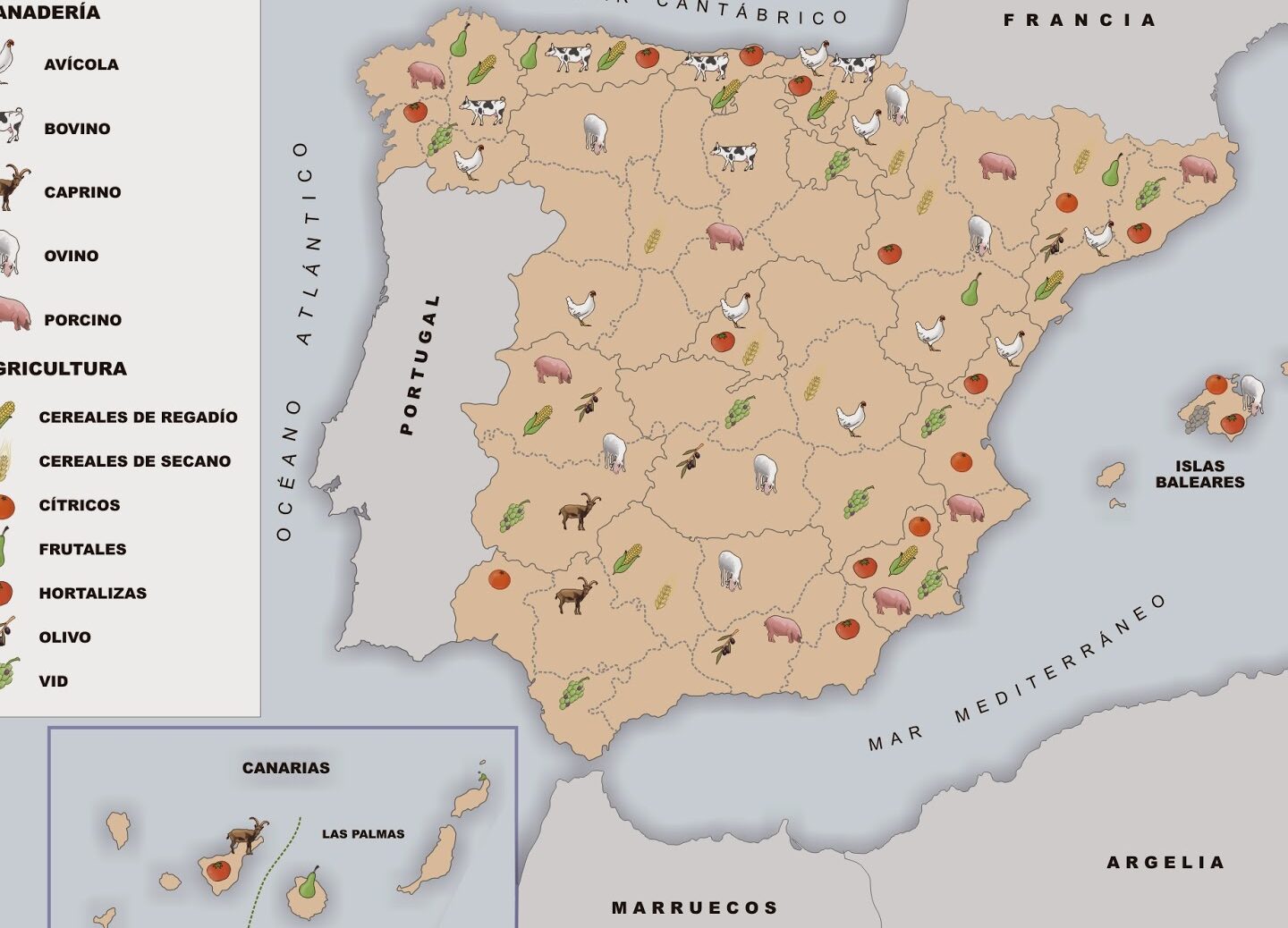 20 ejemplos de la geografia de las principales regiones productoras de carne