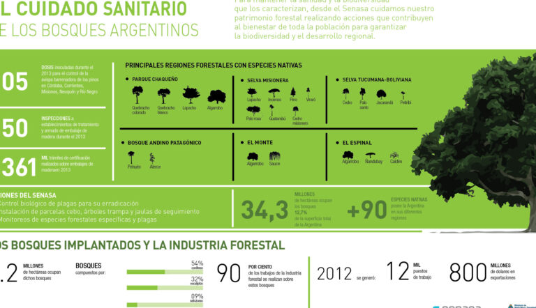 20 ejemplos de la geografia de las principales regiones productoras de madera