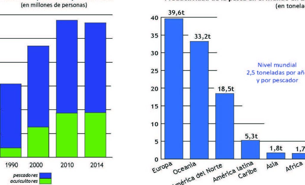 20 ejemplos de la geografia de las principales regiones productoras de pescado