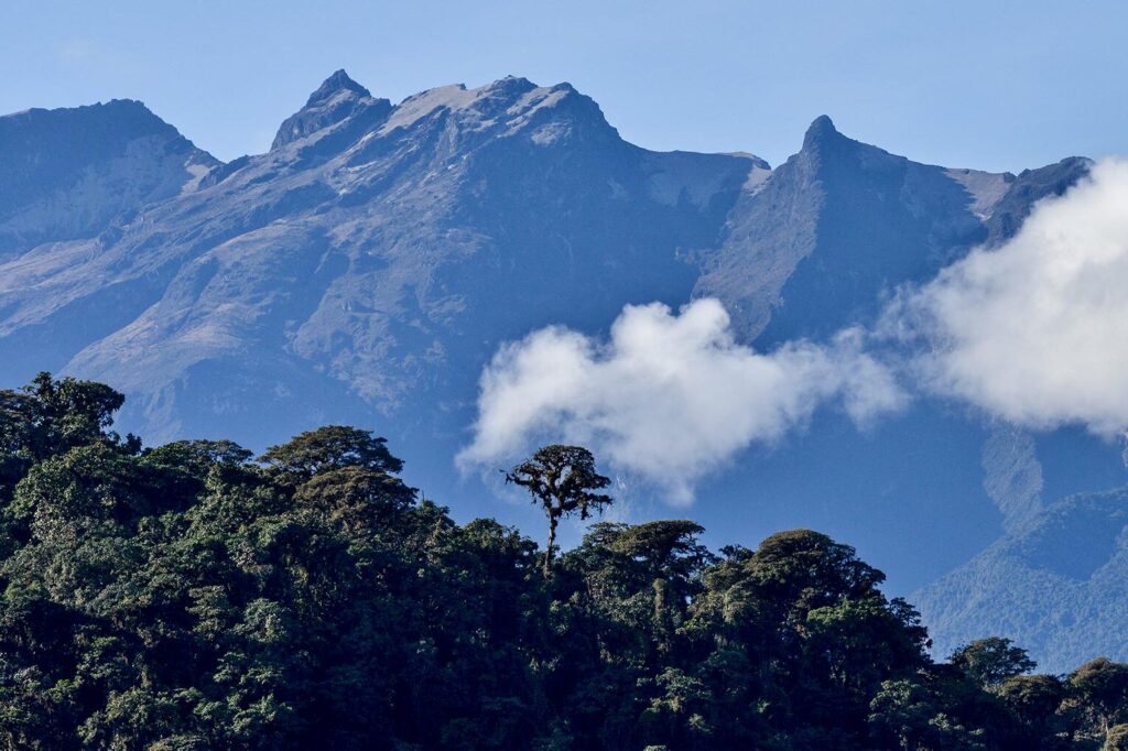 20 ejemplos de montanas y su influencia en los ecosistemas locales