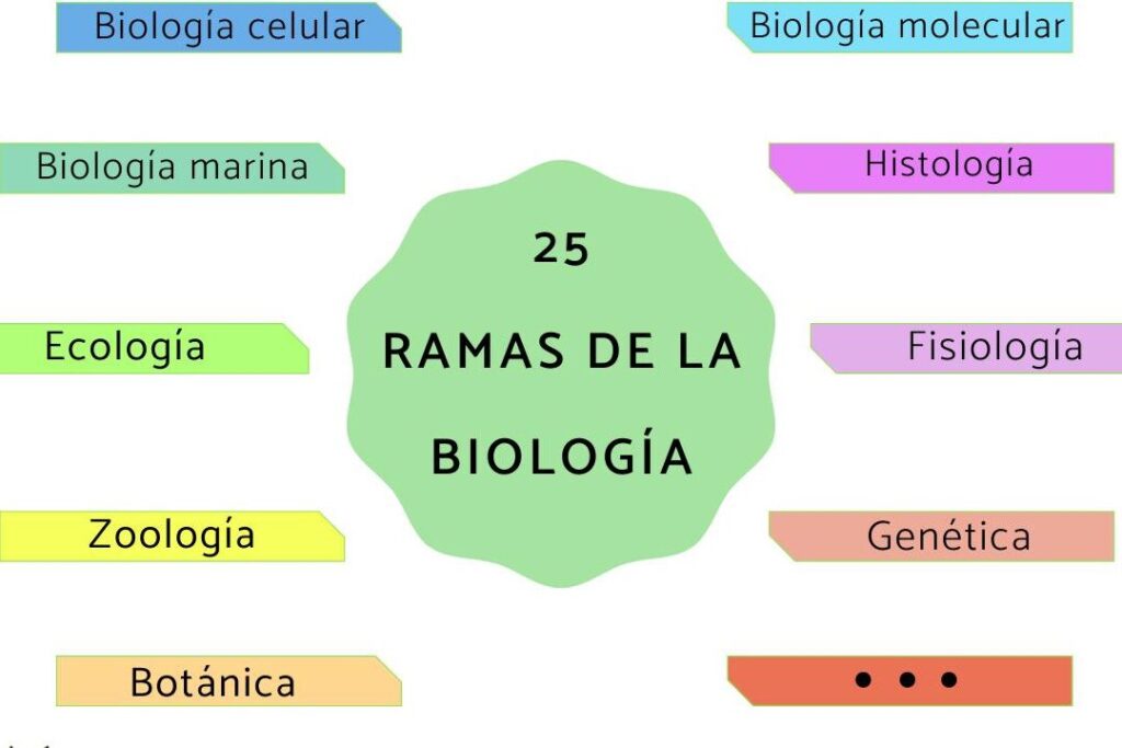 10 ejemplos de clases biologicas