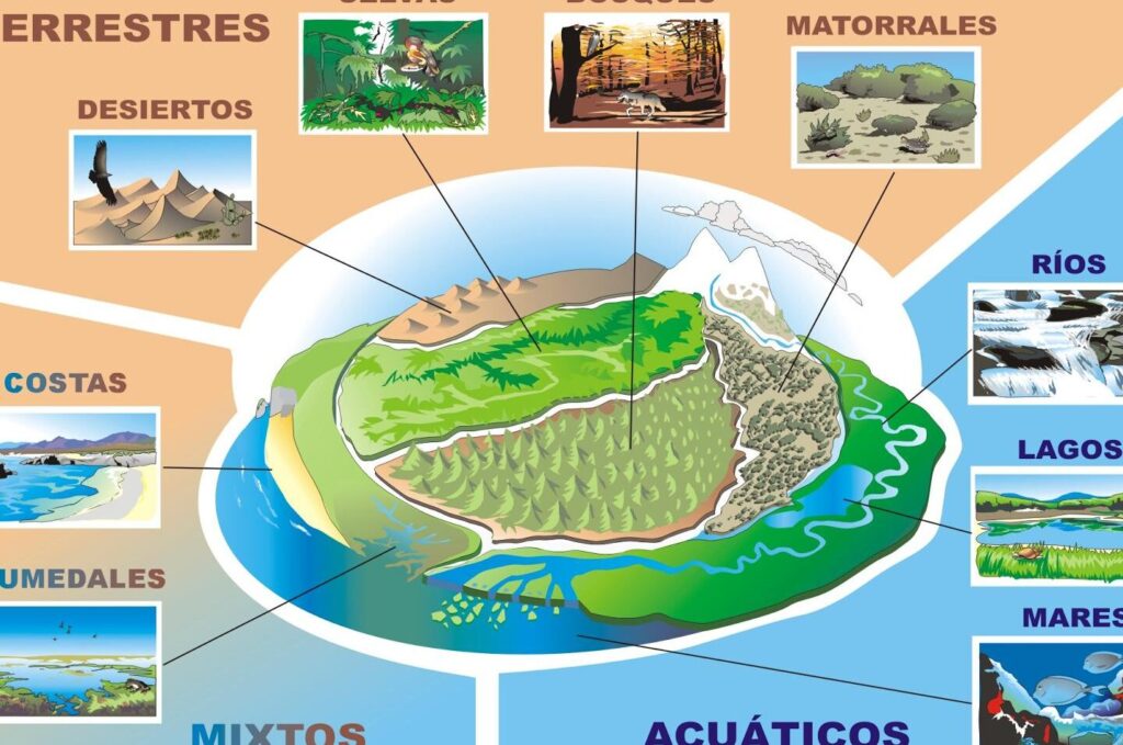 10 ejemplos de ecosistemas acuaticos