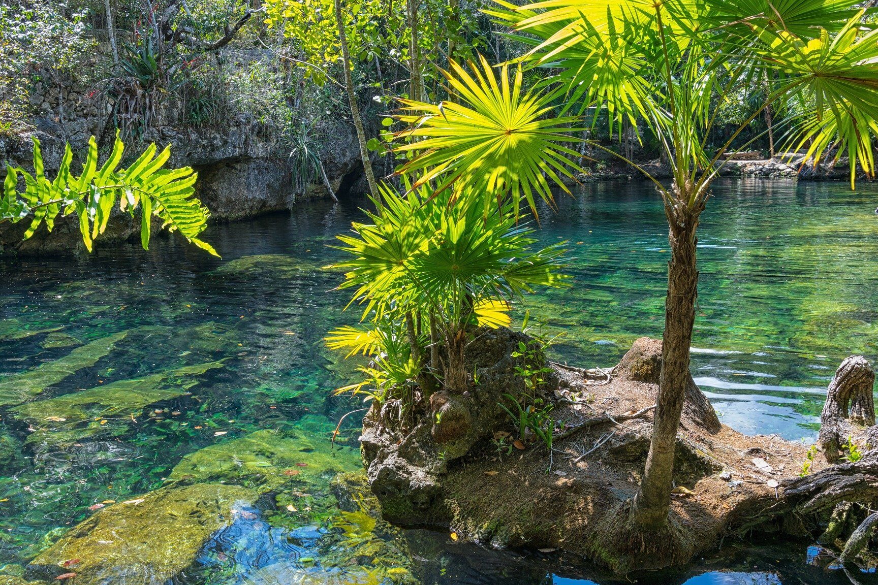 10 ejemplos de ecosistemas de agua dulce