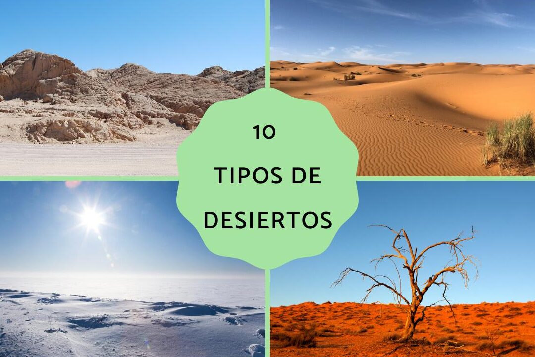 10 ejemplos de ecosistemas de desierto