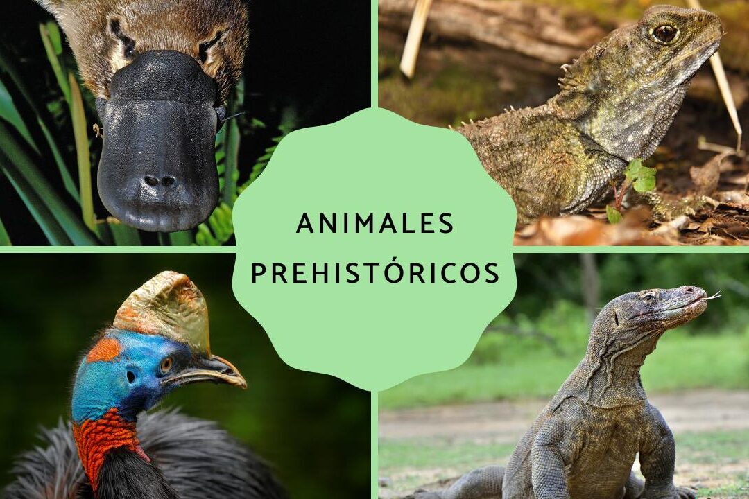 10 ejemplos de especies animales