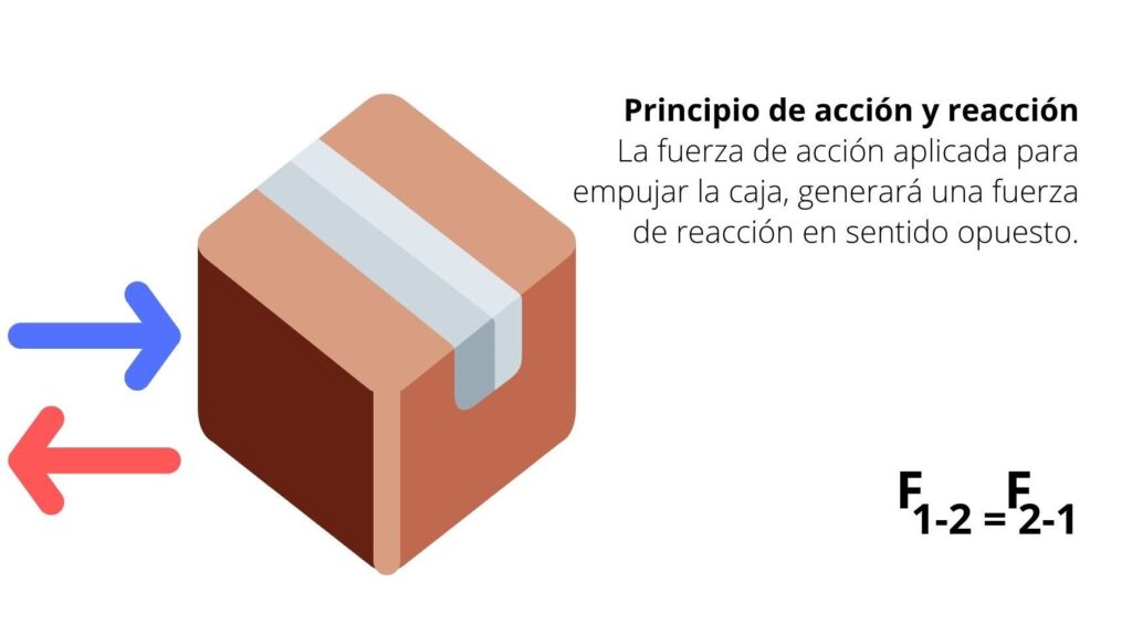 10 ejemplos de principios de accion y reaccion