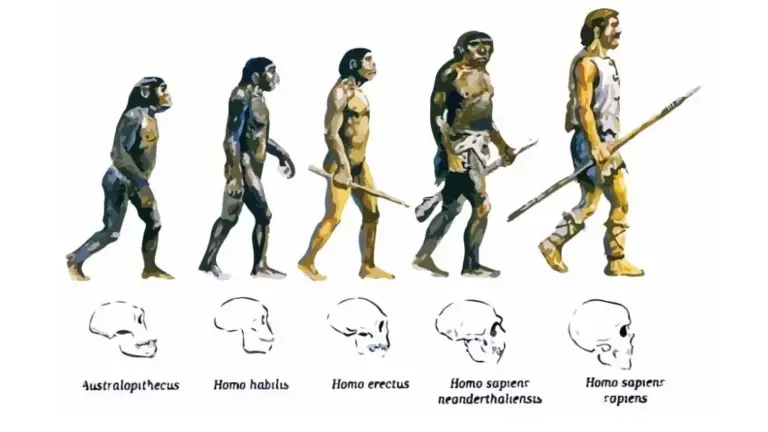 10 ejemplos de teorias de la evolucion