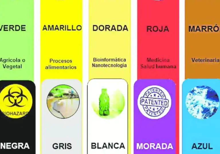 15 ejemplos de carreras en el sector de la biotecnologia