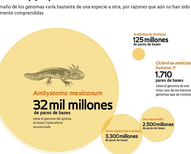 15 ejemplos de carreras en el sector de la genomica