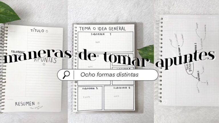 15 ejemplos de como organizar tus apuntes para estudiar