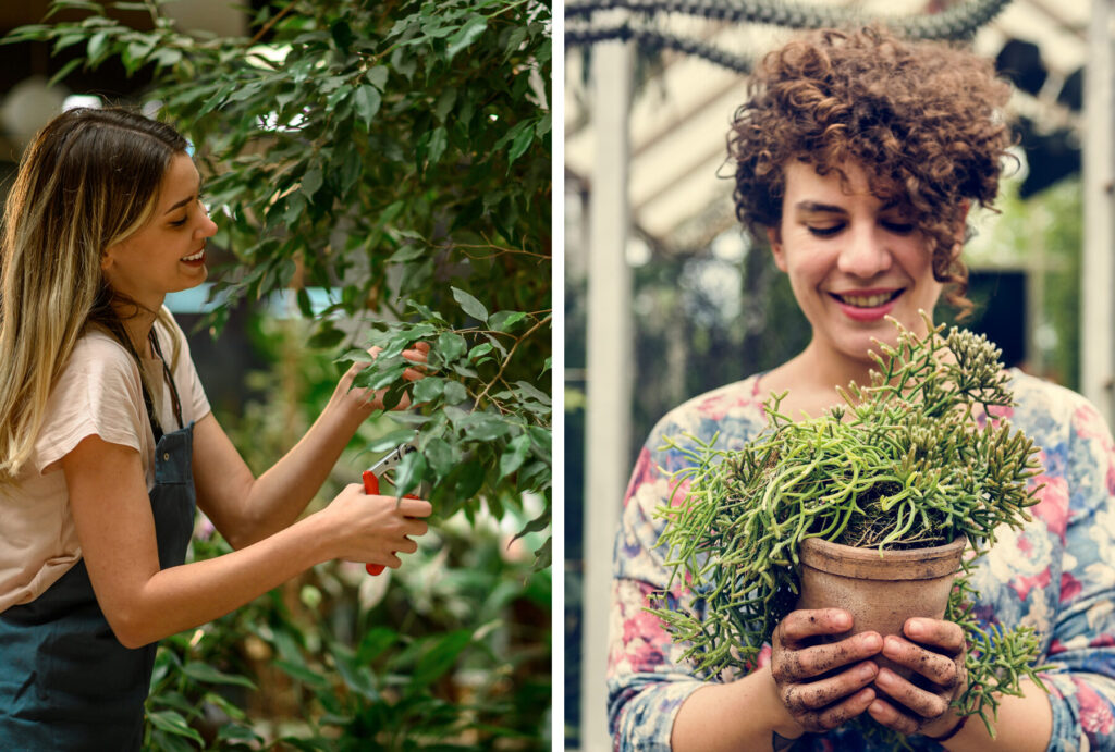 15 ejemplos de como las empresas estan utilizando el marketing de marketing de hogar y jardin