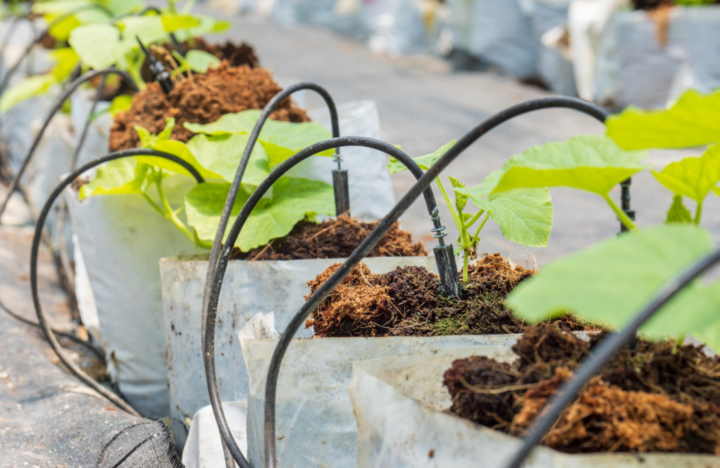 10 ejemplos de como el internet de las cosas esta transformando la jardineria